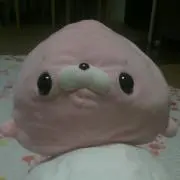 きゅん