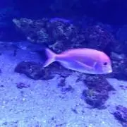 ☆断捨離中☆の画像