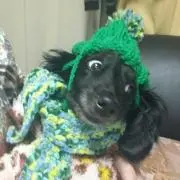 オールペン！購入時コメント必須！