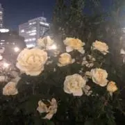 さらぼーの画像
