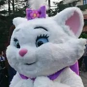 はなの画像