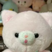 ココロロ