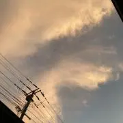 Riceの画像