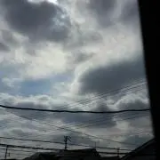 やす