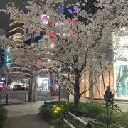 Marinoの画像