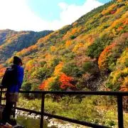jamaym ☆プロフ必読でお願いしますの画像