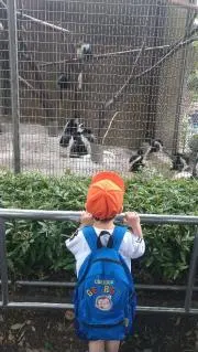canaの画像