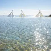 シーの画像