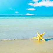 べあ☆の画像