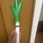 sの画像