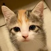 mizukiの画像