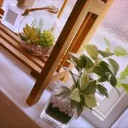 Sawaの画像