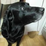 yukky プロフ読んでください