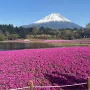evの画像