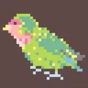 きよみの画像