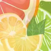 ライムと檸檬の画像