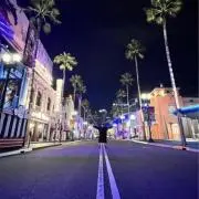 ペリスコの画像