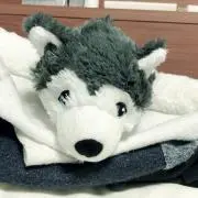 うどんの画像