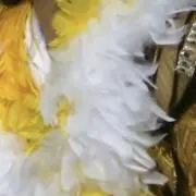 なのはなの画像