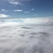 ゆーゆの画像