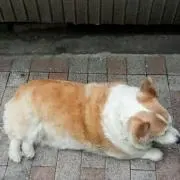 tkmkの画像