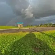 らいぱんだの画像