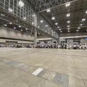 ゴリラの画像
