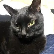 ゆーきんぐの画像
