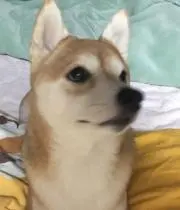 Akeeeraxxの画像