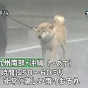 @223の画像