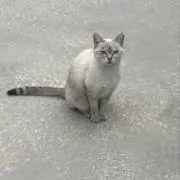 うーさんの画像