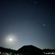 tsubameeの画像
