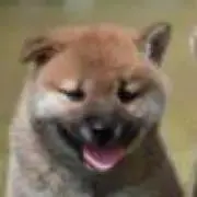 ぺーぺこの画像