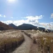 k.kの画像