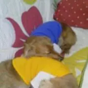 ホクト