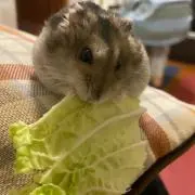 Sherryママの画像