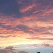 ちょんの画像