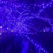 spf yellowの画像