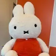 あーちゃんの画像