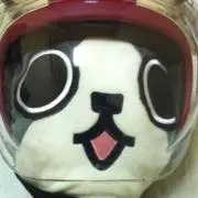 カパコ