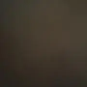いのっち