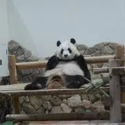 mah☺︎の画像