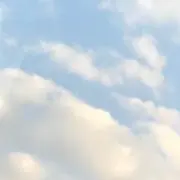 yuの画像