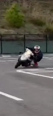 tの画像
