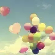 まぁの画像