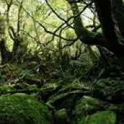 あるるぅ☆プロフ必読でお願いします☆