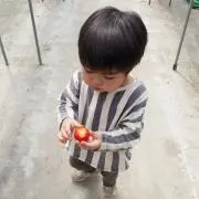 はるの画像