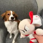 けーた