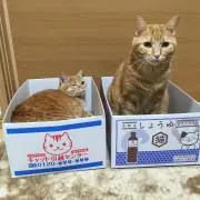 リク  プロフィール一読お願い致します。の画像