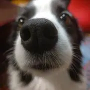 あや※プロフ必読(即購入OK)